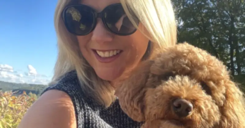 Dog Almost Dies from Sand Impaction After Playing Fetch on Beach