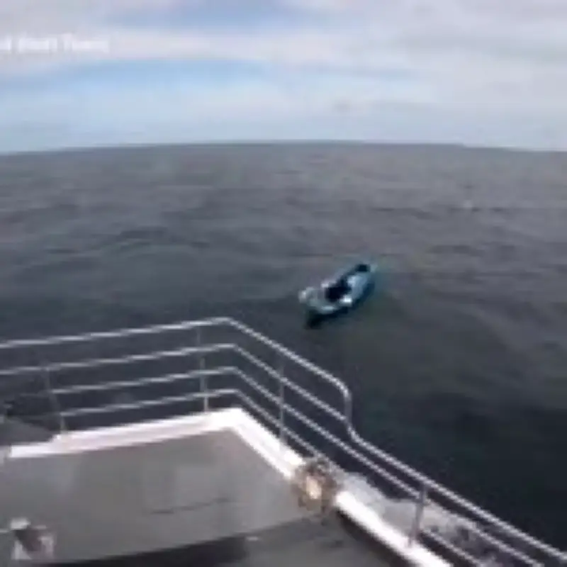 Dog Drifting Alone on Kayak Rescued from North Sea by Brave Crew
