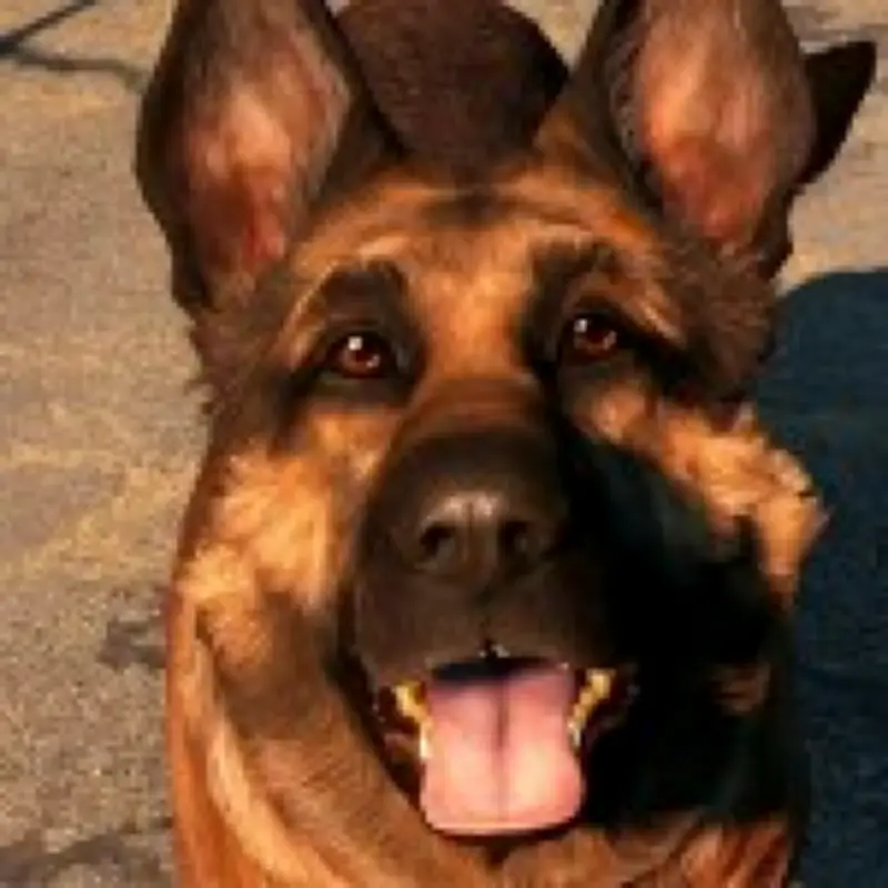 Dog Fires Gun, Bullet Stopped By Gaming PC Saves Gamer's Life