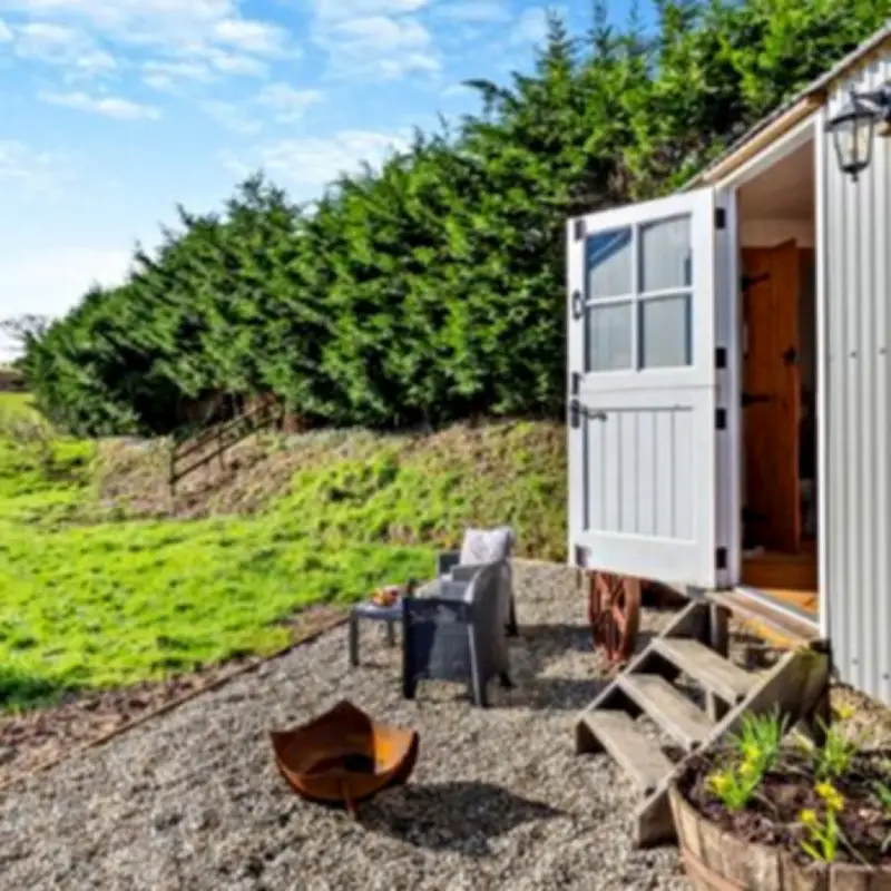 Dog-Friendly Cornwall Hut for Under £500: Starry Nights Await