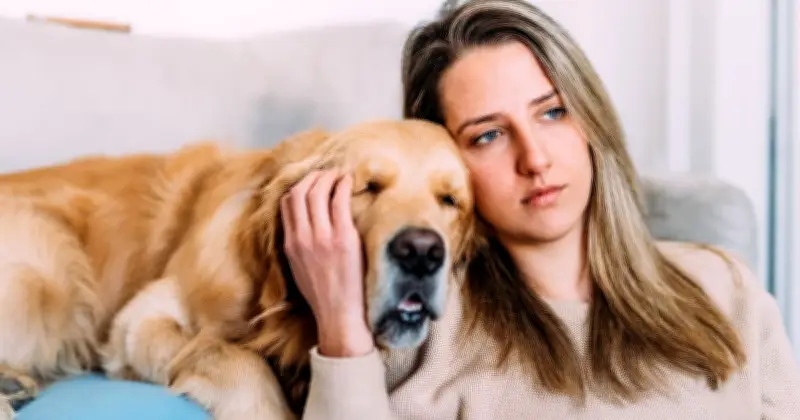 Dog Owners Warned of £500 Fine from June 29 Under New Act