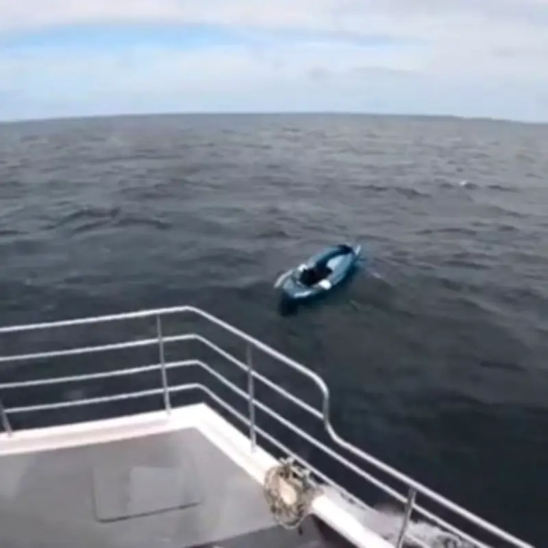 Dog rescued after inflatable kayak blown out to sea off Northumberland coast