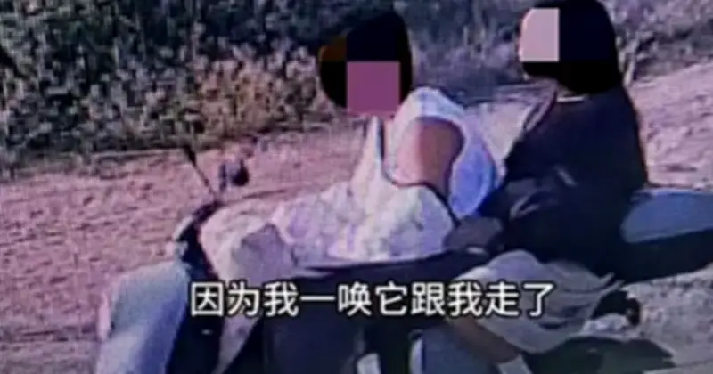 Dog with 1.5M Followers Stolen, Sold, and Eaten in China