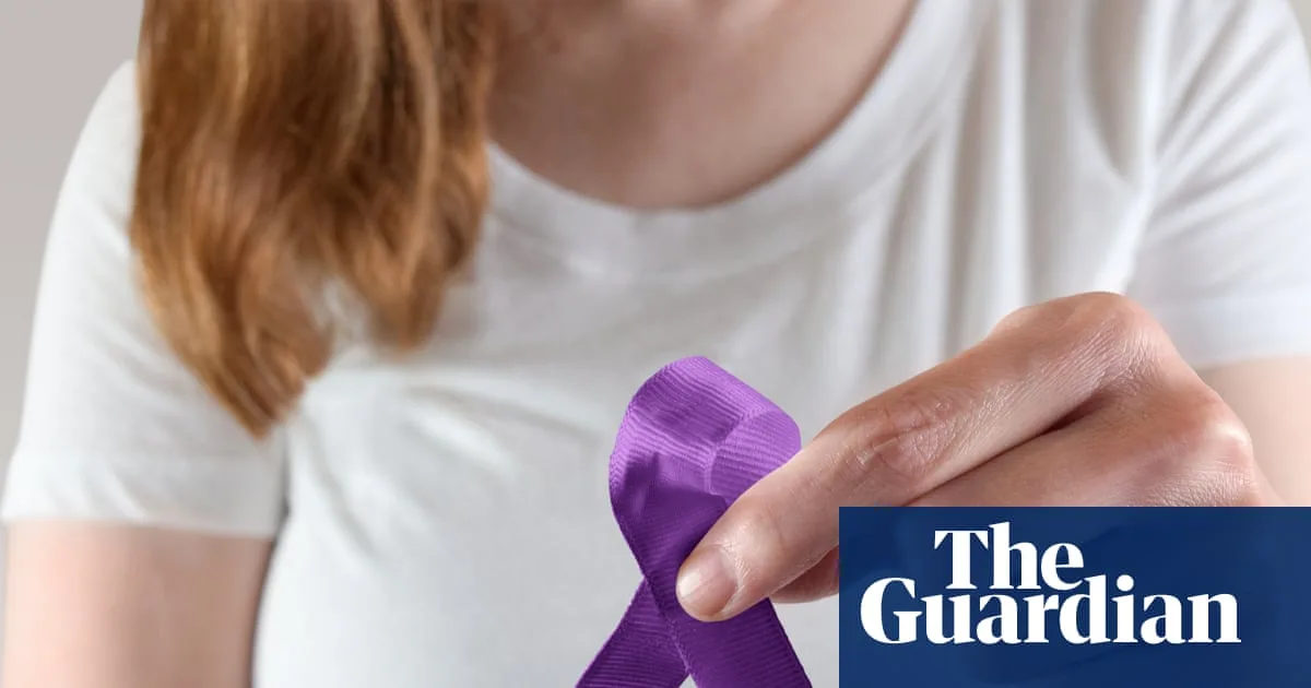 Domestic Violence Registries Spark Debate in US