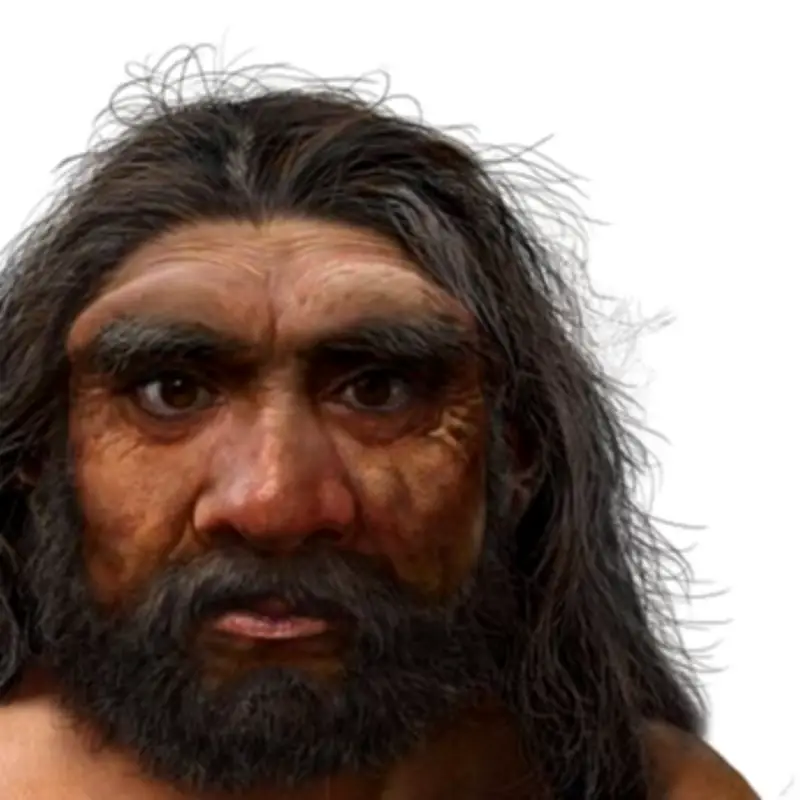 Dragon Man Skull Discovery: New Human Species Revealed by Chinese Scientists