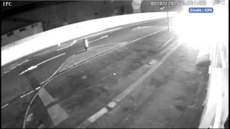Dramatic CCTV shows John Henry Sayers and son allegedly attack arsonist with weapons