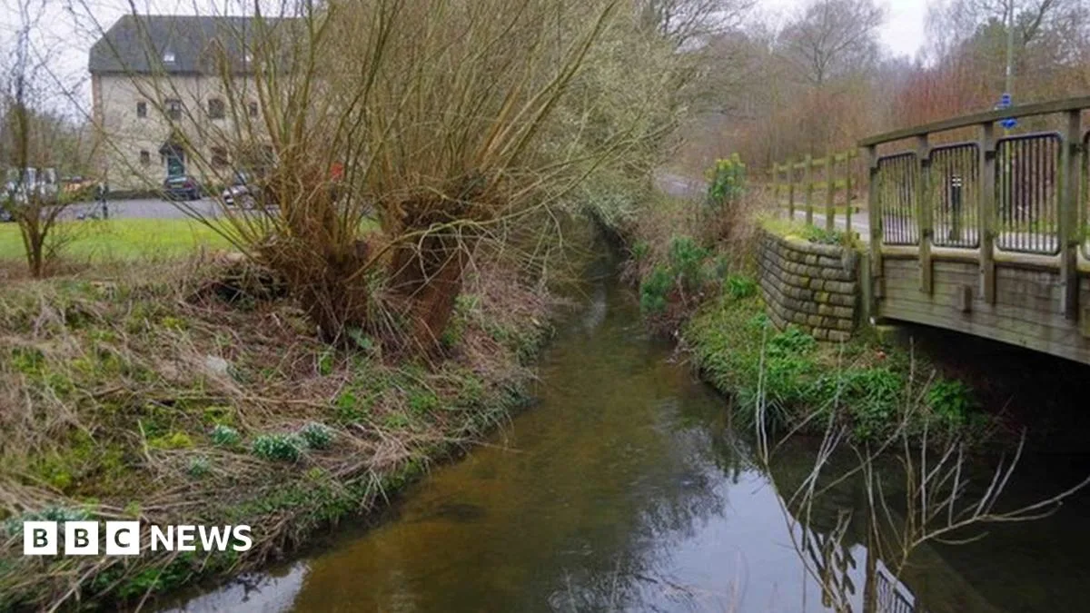 Chemical Leak in Witney Stream Kills 1,700 Fish