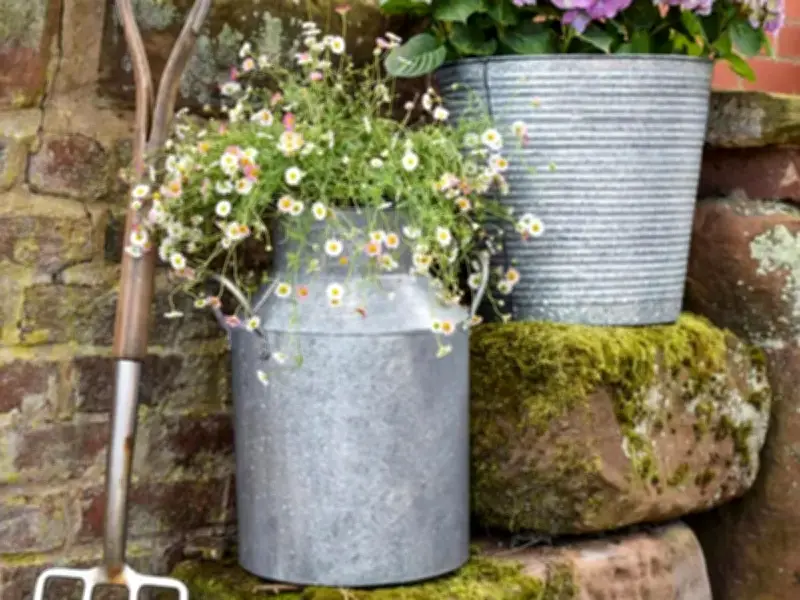 Dunelm's Milk Churn Plant Pot Discounted to £27.20, Shoppers Rave