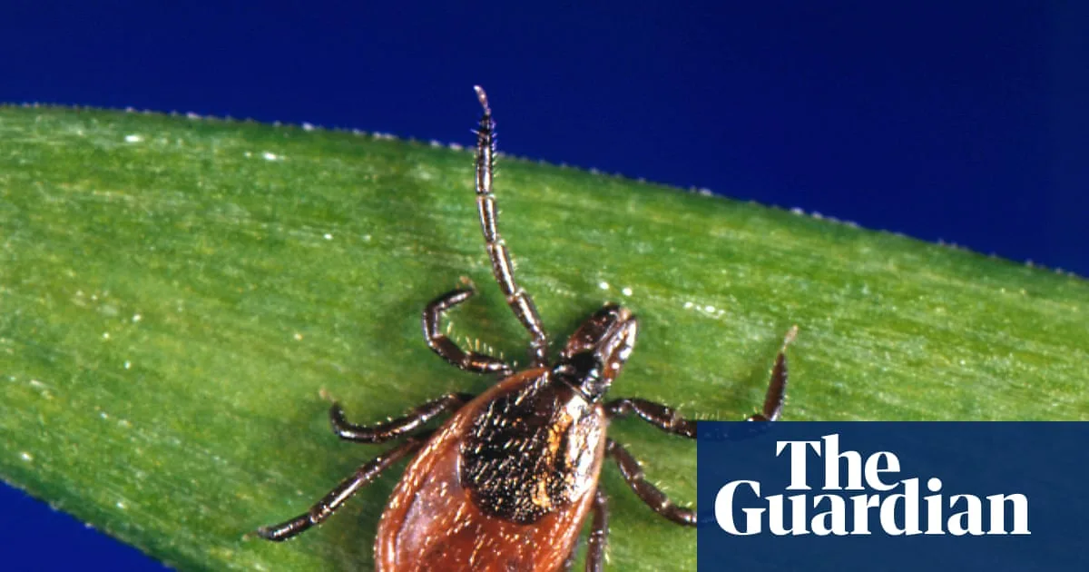 Early Tick Season Sparks US Disease Risk Concern