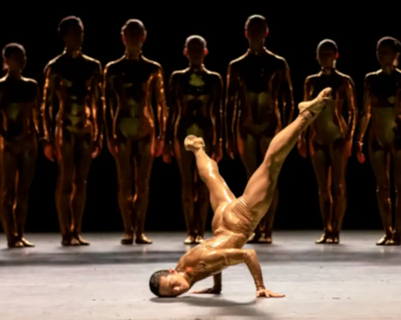 Edinburgh Festival 2026: Top Dance and Circus Shows to See