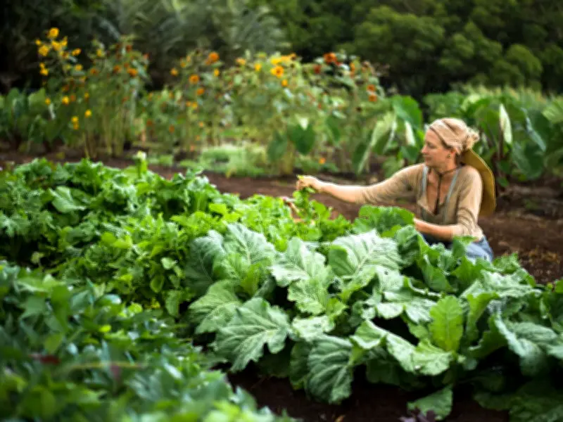 Eggshells and Kitchen Scraps: Natural Ways to Deter Slugs from Your Garden
