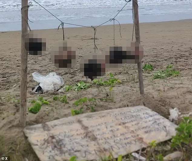 Eight Severed Heads Found in Ecuador with Gang Warning