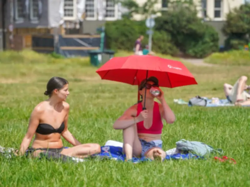 El Nino to Roast Tourist Favorites: Study Reveals Most at-Risk Cities