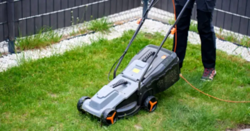 El Niño 2026: Lawn Expert Urges UK Gardeners to Take Four Key Steps Now