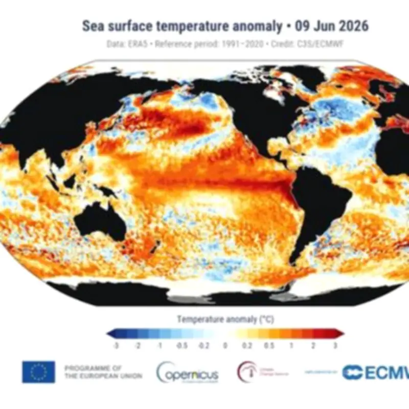 El Niño Officially Declared: Met Office Reveals UK Weather Impact