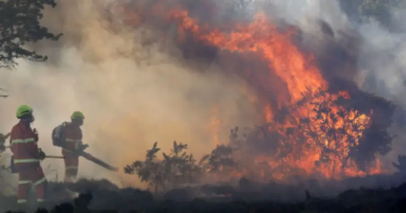 El Niño 'Super' Event Warning: UK Could Face More Heatwaves, Experts Say