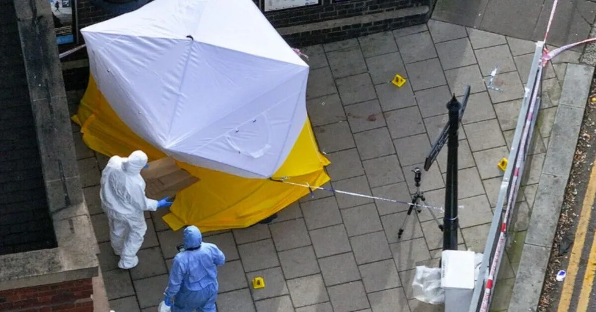 Elderly Man Dies After Unprovoked Attack at London Station