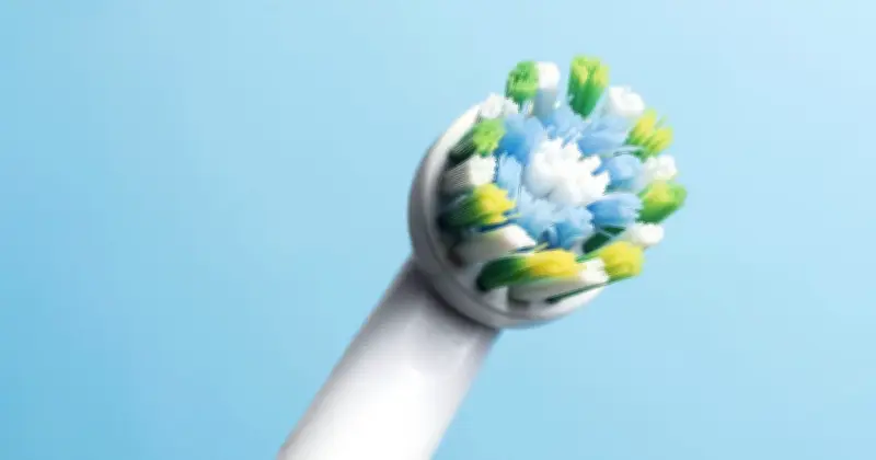 Electric Toothbrush Boosts Tomato Pollination in July Heat