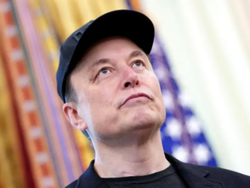 Elon Musk slammed as 'bad news actor' over Belfast knife attack comments