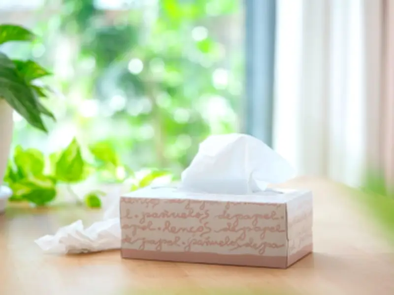 England Households Warned: Tissues in Wrong Bin Risk Refusal