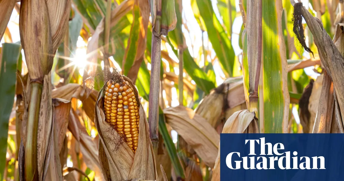 Trump EPA Approves Fifth 'Forever Chemical' Pesticide Ingredient