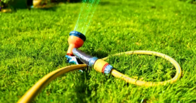 Epsom Salt: The Bathroom Item That Makes Lawns Greener and Healthier