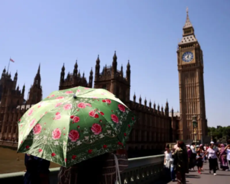 Europe's Worst Heatwave Ever Made Far Worse by Climate Crisis, Scientists Say