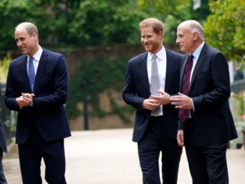 Ex-Royal Aide on Harry-William Rift: 'Steer Clear' but 'Perennial Optimist'