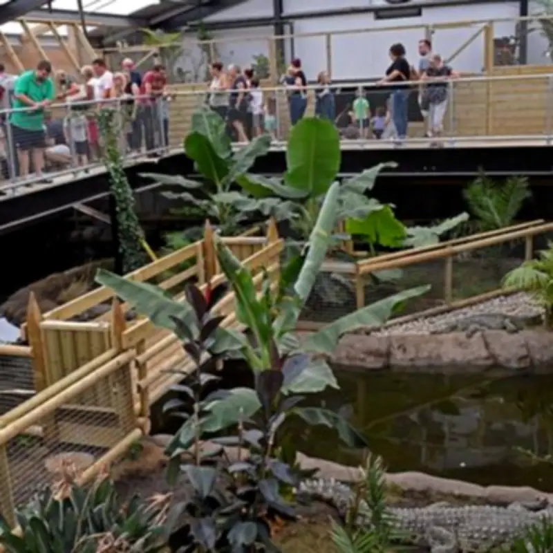 Expert: Crocodile Bite Would Have Been Catastrophic in Zoo Incident