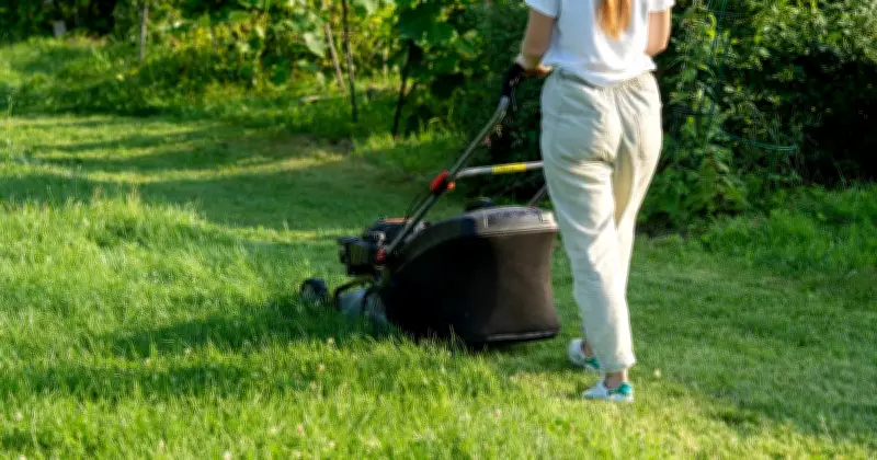 Expert warns: Essential lawn mowing precautions after rain