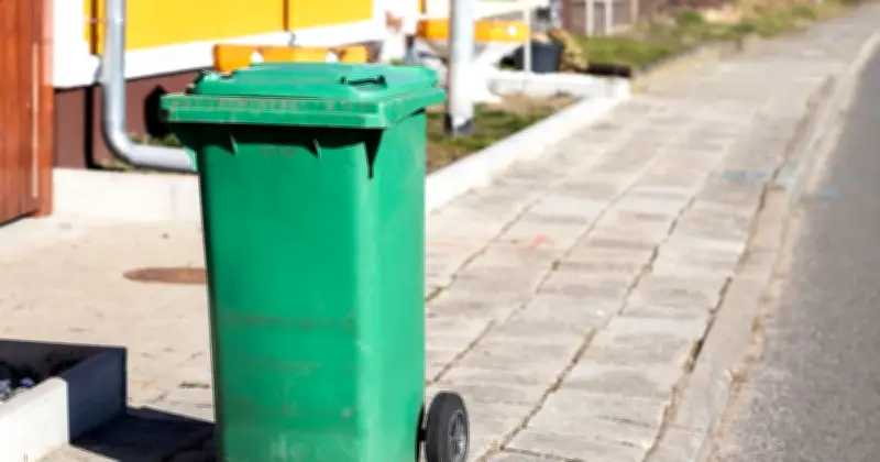 Experts Agree: Talk to Neighbors About Bins Left Out