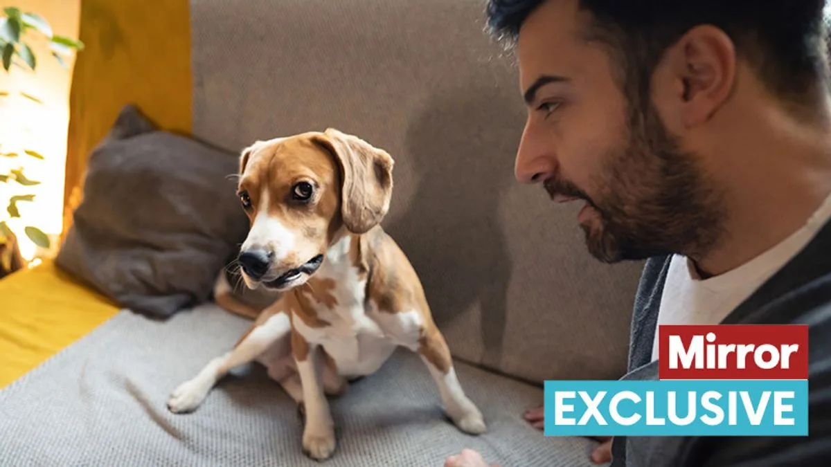 Experts Warn Against Viral 'Bark at Your Dog' TikTok Trend
