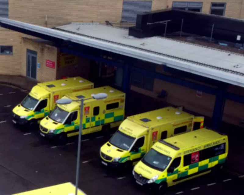 Family of brain-damaged girl accepts £28m NHS payout after birth errors
