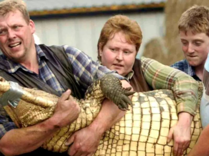 Family of Three Jumped into Crocodile Pit to Rescue Toddler, New Details Reveal