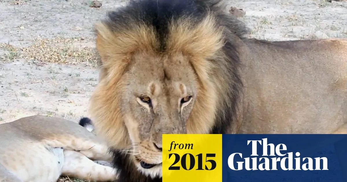 US Dentist Faces Poaching Charges Over Killing of Cecil the Lion