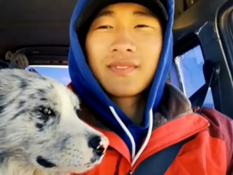 Famous Social Media Dog 'Served Up' in Chinese Restaurant After Abduction