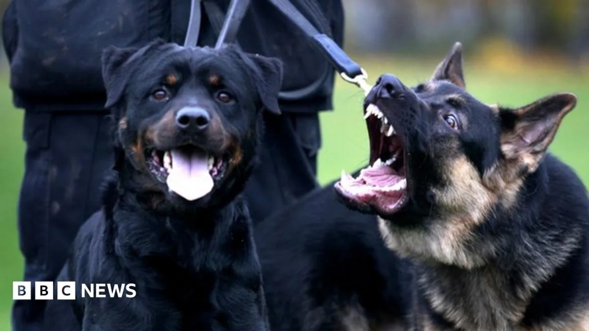 Dog Bite Hospital Admissions Surge 76% in a Decade