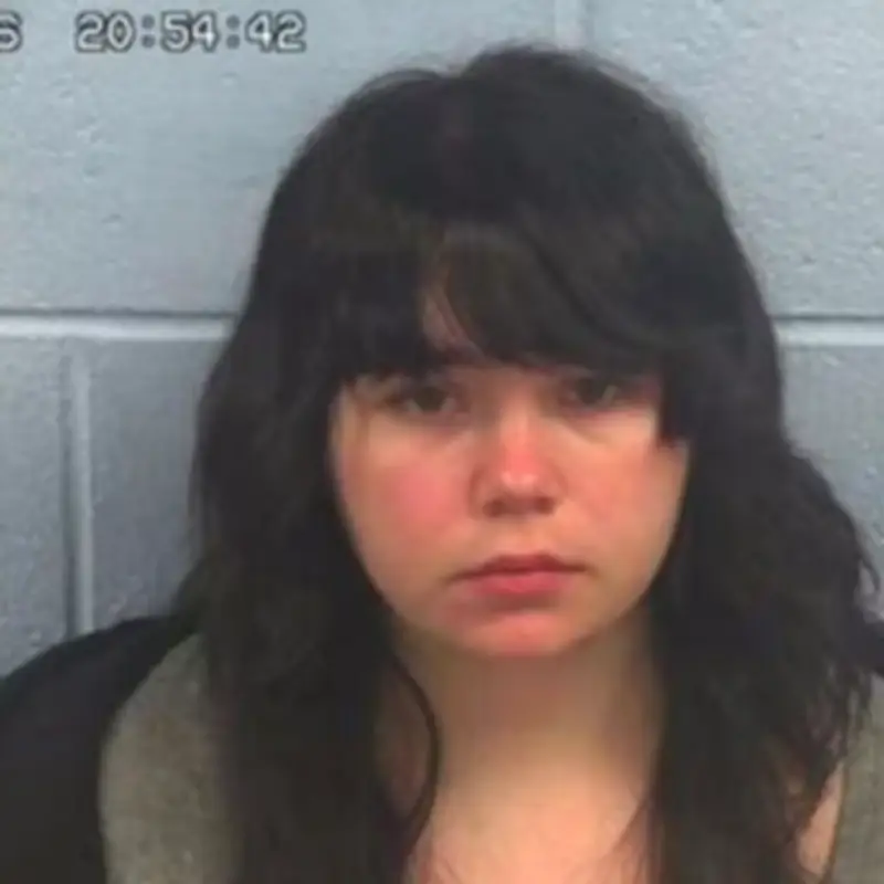 FBI Flags Instagram Messages, Woman Denied Bail in School Shooting Plot