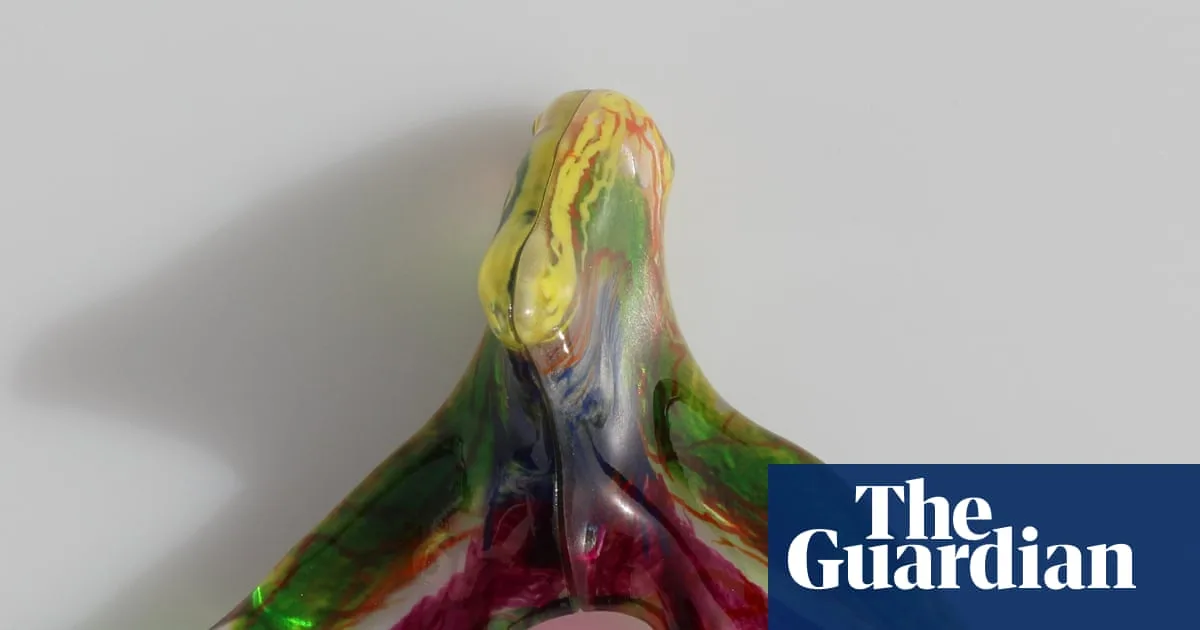 First 3D Map Of Clitoral Nerves Unveils Anatomy