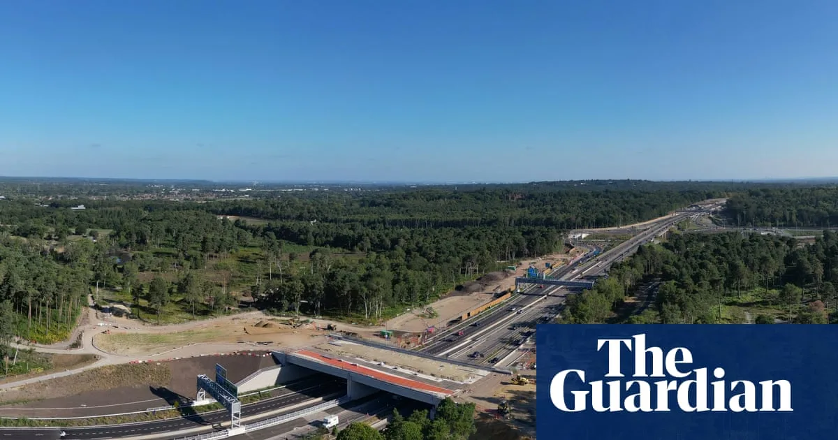 First UK 'green bridge' opens in Surrey to help wildlife cross motorway