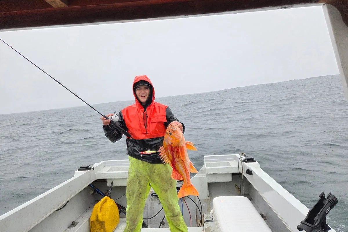 US Fisherman Catches Potential World Record Canary Rockfish