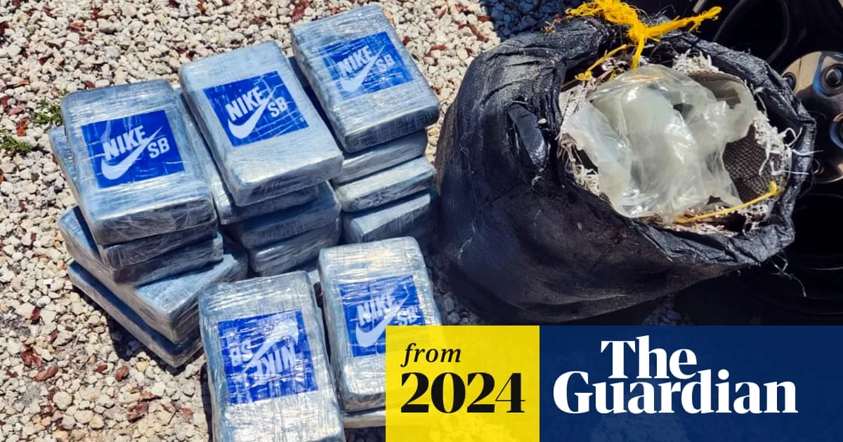 Divers Discover 25kg of Suspected Cocaine Off Florida Coast