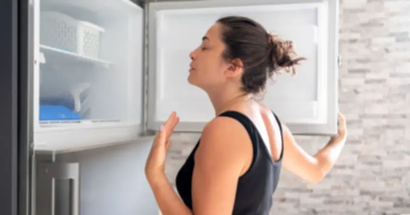 Food Safety Warning: Crucial Leftover Storage Tip for UK Heatwave