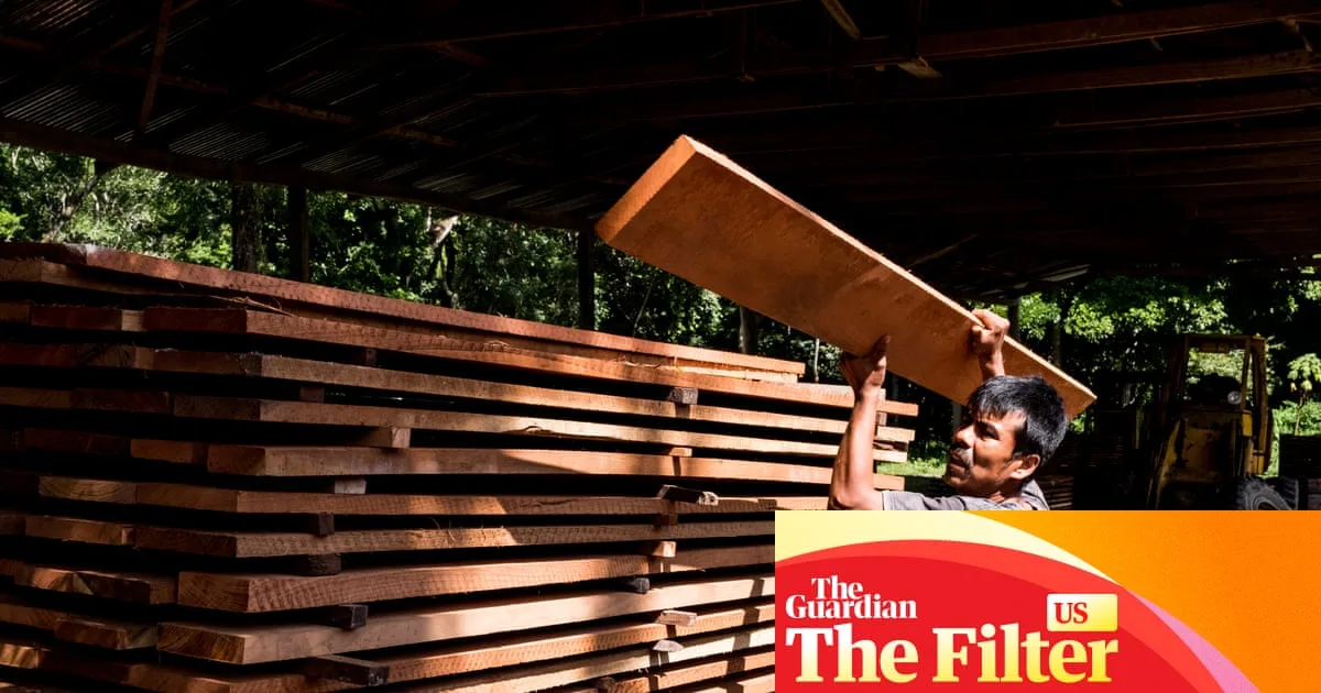 Forestry Certifications Fail The Green Veneer Cracks