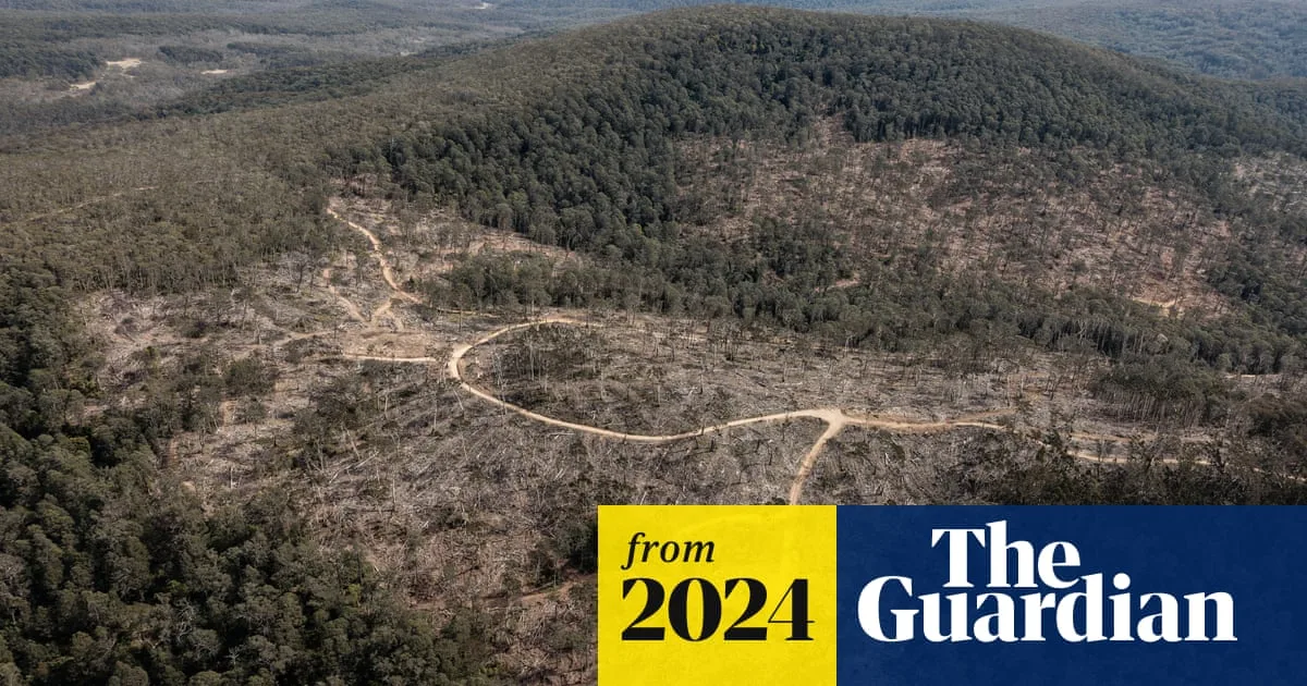 NSW Forestry Corporation Faces Heavy Losses Amid Native Logging Controversy