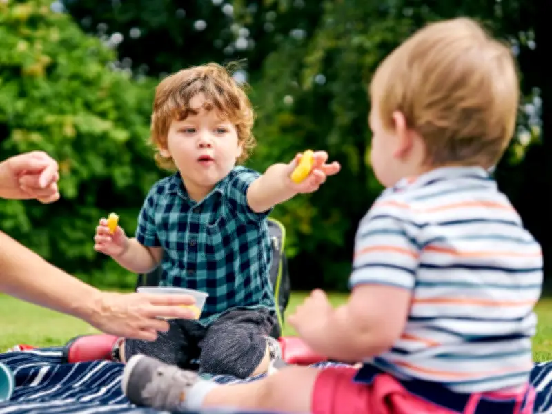 Four Foods to Eat in Wales During Heat Alert, Says Red Cross