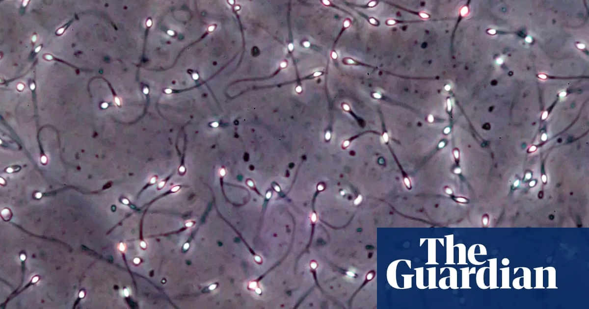 Frozen Testicular Tissue Transplant Restores Sperm Production in Breakthrough Trial