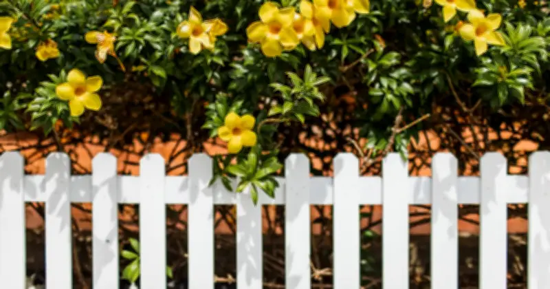 Garden Fence Painting Hack Uses 46p Sponge for Quick Results