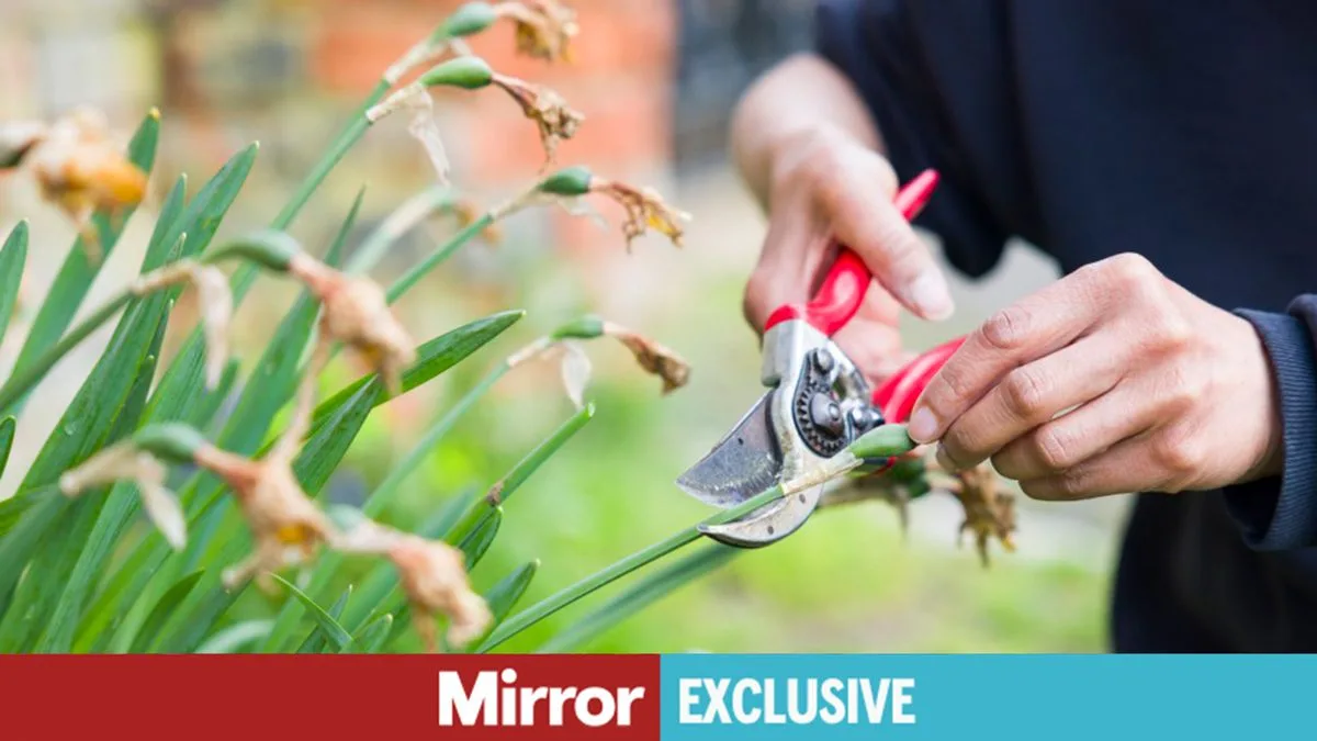 Gardener Warns Against Common Spring Planting Error