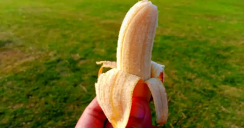 Gardeners Advised to Bury Banana Peels in Soil This June for Healthier Plants